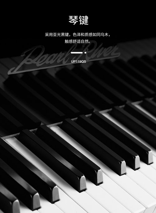 泰安珠江鋼琴 愷撒堡鋼琴 里特米勒鋼琴 國產鋼琴