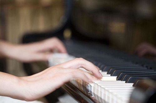 招生1對(duì)1免費(fèi)預(yù)約鋼琴試聽課