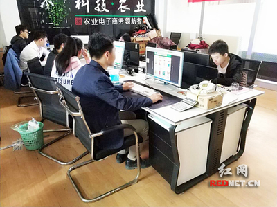 輸血變造血 衡陽市雁峰區以計算機技術培訓為抓手，走深走實產業扶貧路